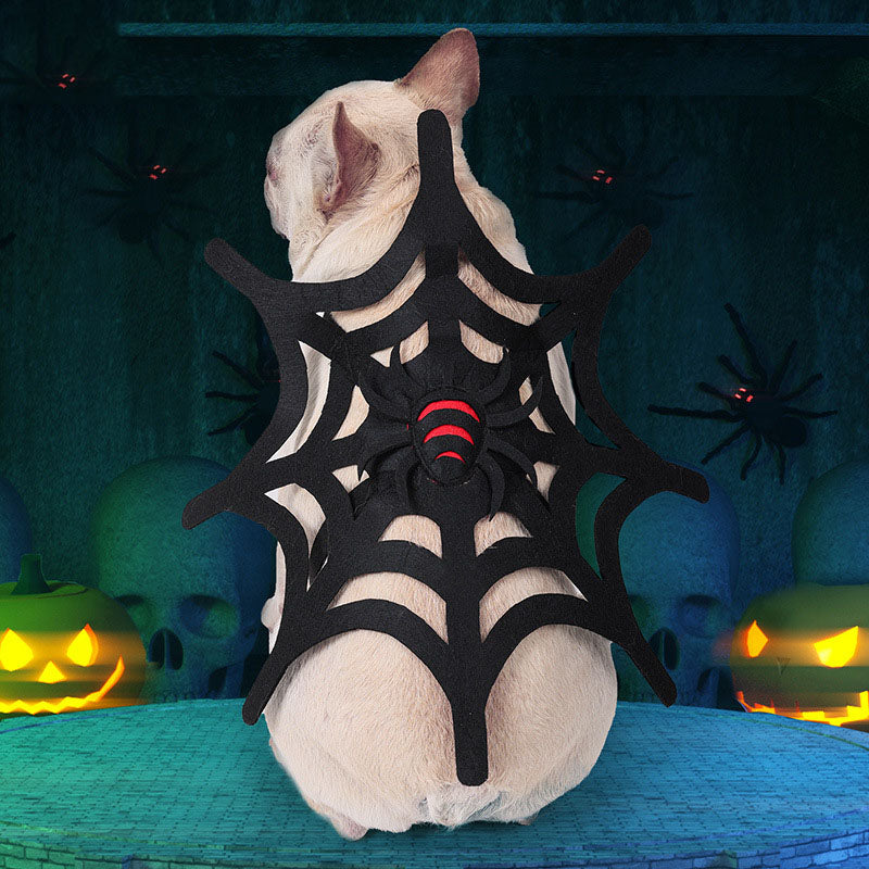 Cambio de imagen de tela de araña para perros y gatos de Halloween