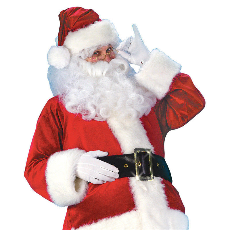 Plus size santa costume