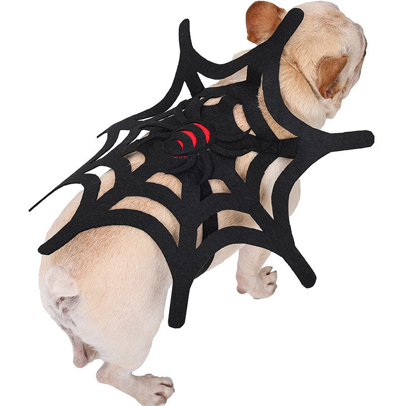 Cambio de imagen de tela de araña para perros y gatos de Halloween