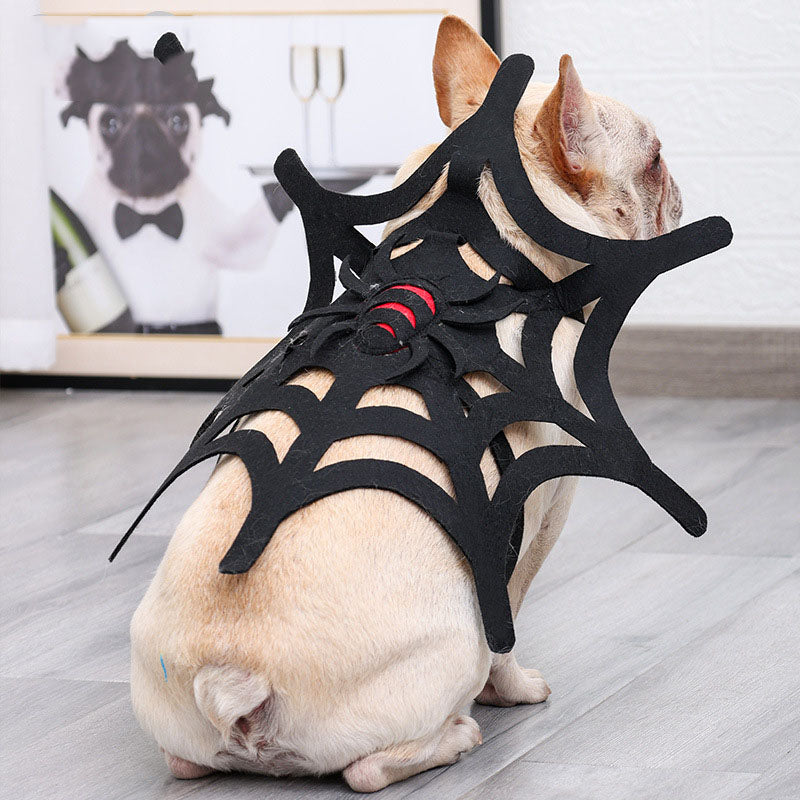 Cambio de imagen de tela de araña para perros y gatos de Halloween