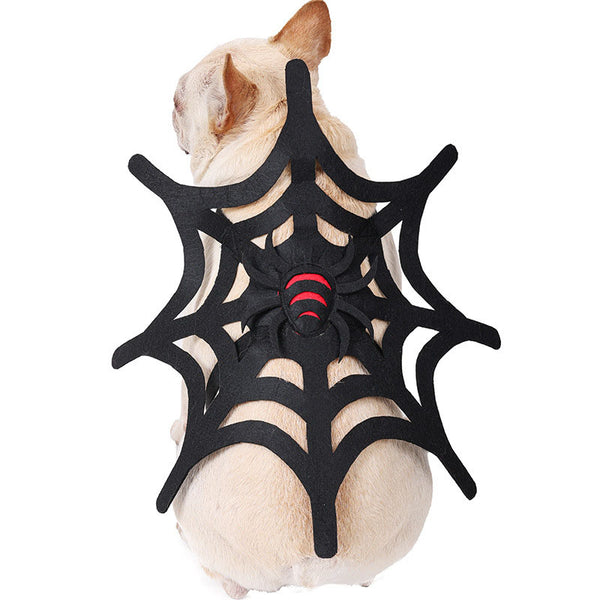 Cambio de imagen de tela de araña para perros y gatos de Halloween